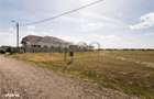 RECO Teren intravilan Grigorescu, gaz si curent - 11