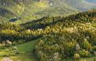 7.000 mp, pozitie spectaculoasa, fara vecini, Fundatica, Brasov - 7