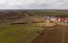 Fermă cu teren intravilan de 35000 mp în Mișca - 9