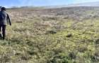 Teren Cighir extravilan 5 ha - 25 ha / 700 EURO AR