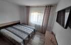 Apartament 2 camere mobilat LUX –  langa parcul Floreasca - 3