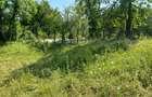 Teren de 2000 mp, în Stoenești - 1