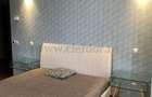 Apartament cu 3 camere in zona Iancu Nicolae - 11