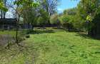 Casa de vanzare in Zanesti, Neamt - 4 camere, curte 2000 mp, direct proprietar - 6