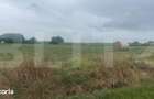 Teren extravilan de vanzare, 20000 mp, zona Hiliseu-Horia