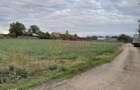 DE VANZARE TEREN 2000 MP - COSERENI( il ) - 2