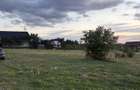 Teren intravilan Baia Sprie, 41 arii, parcelabil, toate utilitatile, - 4