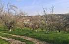 Campina, Baicoi, Scorteni - 16