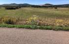 Teren 3500 mp la drum asfaltat-agricultura, investitie-Chintelnic - 1