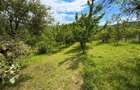 Casa pe un singur nivel+2974mp teren in Aciliu - 9