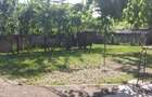 Casă cu 3 camere în Valea - 3