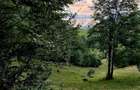 Teren investitie 8635 mp extravilan , Pestera Brasov - 1