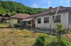 Proprietate formata din 3 imobile, strada Caraiman, nr. 21 Sighisoara - 7