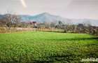 Teren de vanzare Homoraciu Izvoarele, Prahova - 5