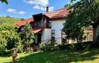 Teren intravilan 5.000 mp de vanzare Valea Domneasca, Ghioroc - 1