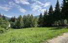 PREDEAL - STRADA PAJISTEI -  TEREN INTRAVILAN 830 MP DESCHIDERE 24 ML - 3