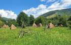 Teren de 876 mp, în Valea Doftanei - 3