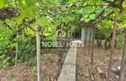 Teren intravilan Barlad, 707 mp, zona ultracentrala, str Bradului - 5