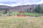 Teren extravilan Valea Doftanei 20.500 mp 6e mp - 7