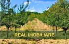 Livada - 4.000mp, zona Niscov, Carlomanesti!