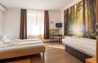 Casa 4 camere de inchiriat sau vanzare ( Pensiune) - 8