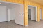 Spatiu comercial/Apartament la etaj/Teren 1187 mp - 8