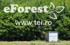 Loturi de teren in eForest, dupa Buftea, cu acces direct la DN1A - 7