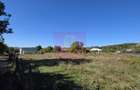 Teren intravilan 3.750 mp de vanzare in Campina