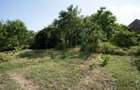 Casă de vânzare în Rotbav | Teren 1.500 mp | Zonă centrală - 7