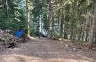 Teren 3.300 mp de vânzare | Lacul Beliș | Ponton și barcă disponibile - 4