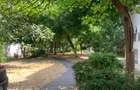 City Park-Apart.2 cam dec et 3/4 liber gaz preț 98.000 euro - 10