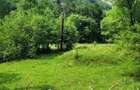 teren de vanzare intravilan-19000 EUR - 3