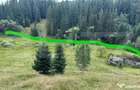 Teren intravilan de vanzare, 6941 mp, zona Mestecani? - 3