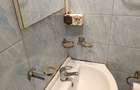 Proprietar 150 euro Iosefin - 5