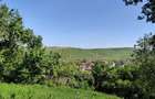 teren intravilan Dezmir - 8