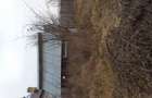Teren 3000 mp , trifazic,Micesti , - 7