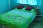 cv 48 Lapusel- teren 480 mp + casa in regim P+M - 5