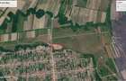 Teren de vanzare, Costeiu, jud Timis - 3