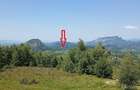 De vanzare 2 Hectare de Padure Brad Douglas Duplex Oportunitate Unica - 9