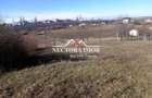 NECTORA IMOB-Parcele teren Intravilan Baile 1 Mai, parcele alipite,PUZ - 1