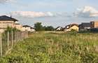 Teren Vorovesti 2 parcele de 1000 mp, utilitati, str. Pieptanari (proprietar) - 3