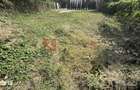 TEREN 350 MP | 13.5 m. X 26 m. | ZONA TRACTORUL - 1