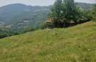 Teren intravilan de vanzare, 26.000 mp, Bulz, Bihor,Gaminvest,V4693 - 4
