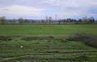Teren intravilan de vanzare Sarasau, Maramures | 6.000 mp - 2