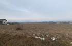 Cedare concesiune teren 2.000 mp | Todire?ti (Parhau?i) - 8