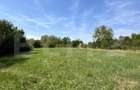 Proprietate suberba in Damieni! cu potential enorm comercial! 550mp utili-47Ari! - 13