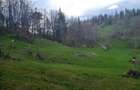 Teren de 800 mp, în Gârda de Sus - 6