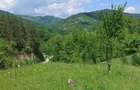 Teren 4000 mp cu utilitati ideal cabane / investitie Muntii Buzaului (Lopatari) - 4