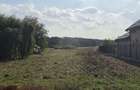 De vanzare teren intravilan 6.100 m2 Lipia (Gruiu) Deschidere 22 m | Langa padure, utilitati - 2