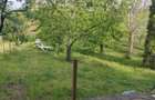 Casa cu gradina in Apahida